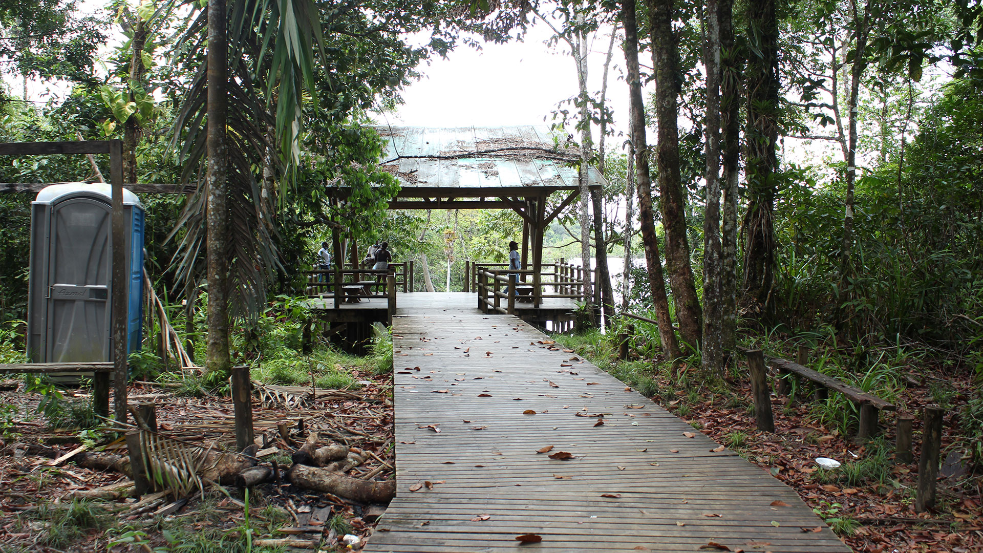 Sendero ecológico de Medio Atrato