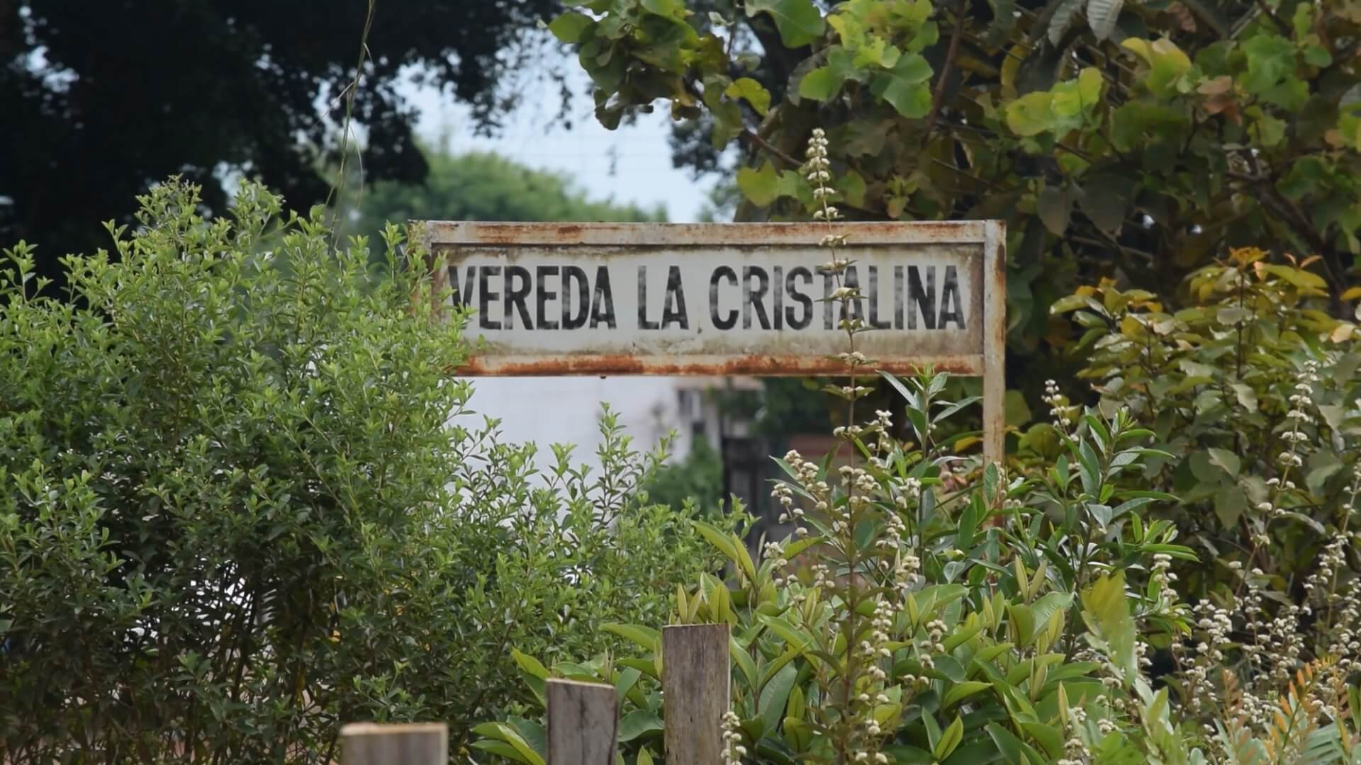 La Cristalina