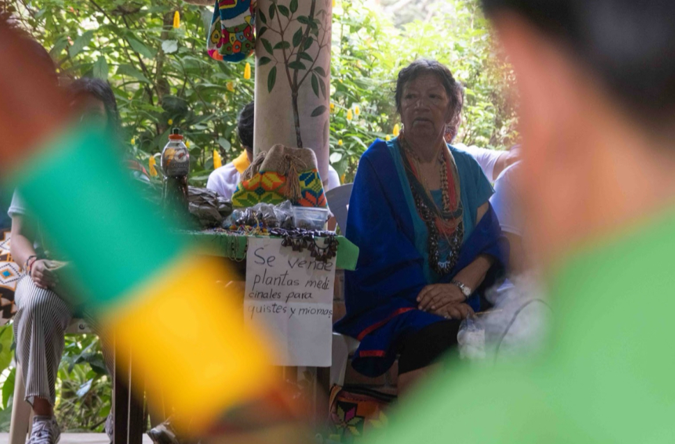 La ‘mamita’ Francisca es una mujer sabedora de plantas medicinales en Putumayo. Ricardo Sánchez Gómez